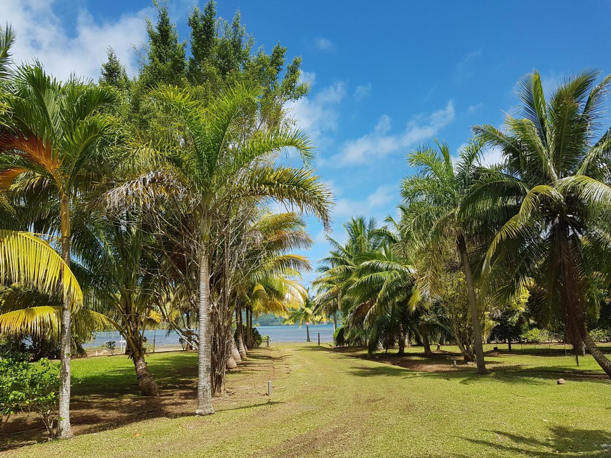Villas Teakavehere - Fare Hibiscus Haapu Bagian luar foto